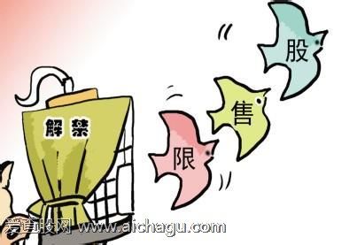 股票型基金