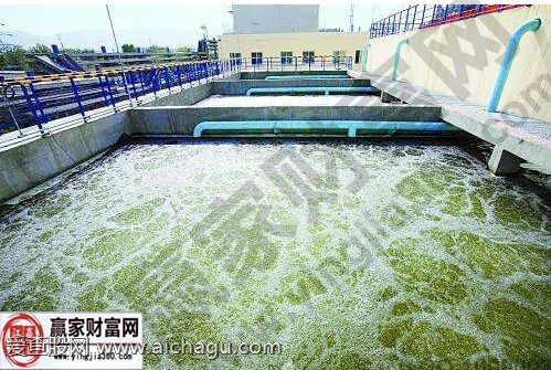污水处理