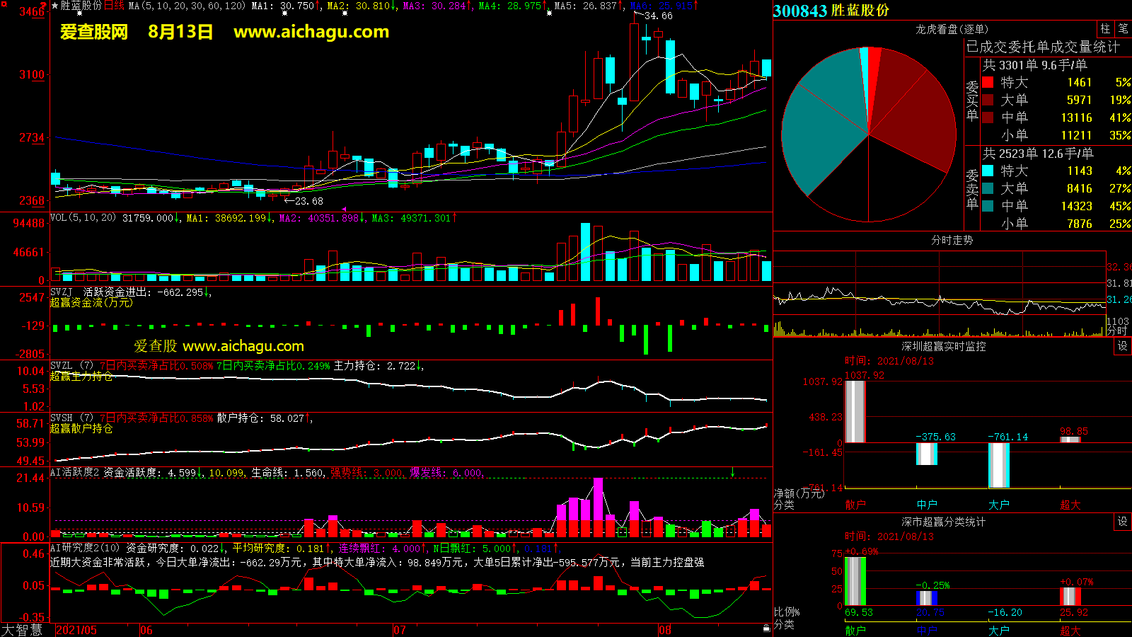 胜蓝股份(300843)大智慧超赢数据