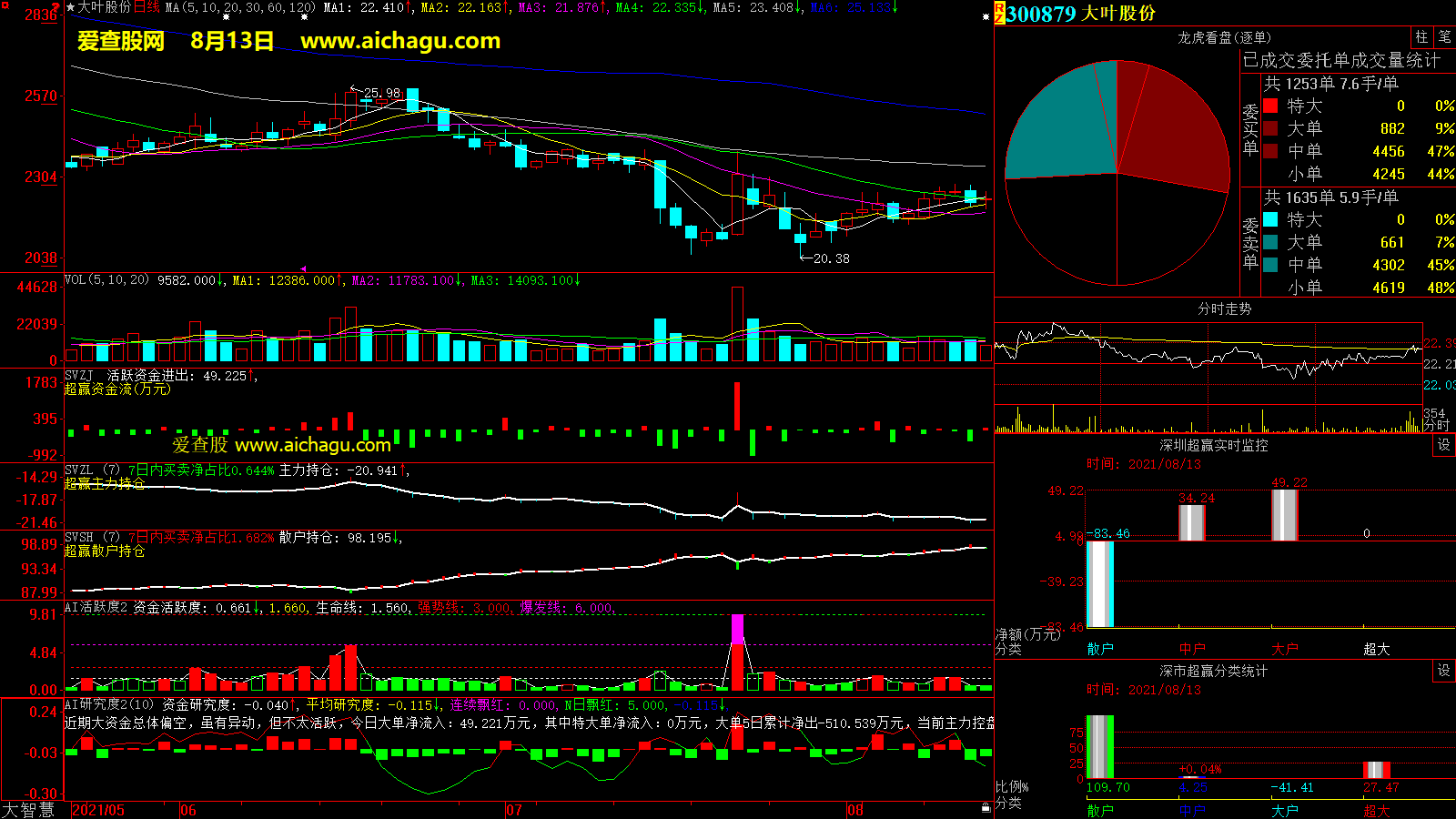 大叶股份(300879)大智慧超赢数据