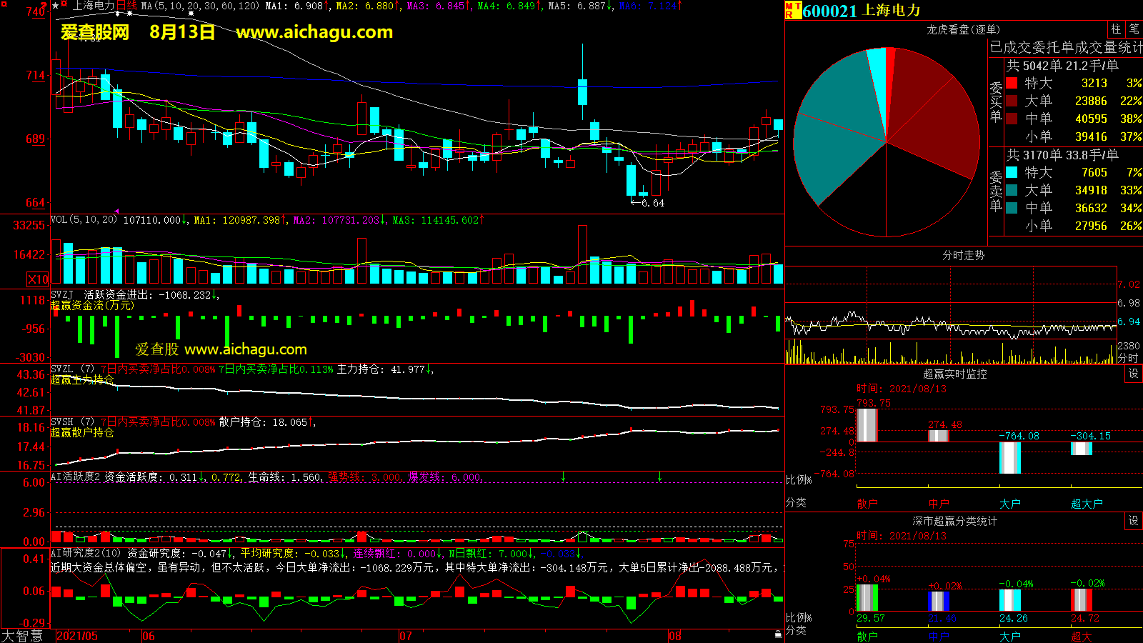 上海电力(600021)大智慧超赢数据