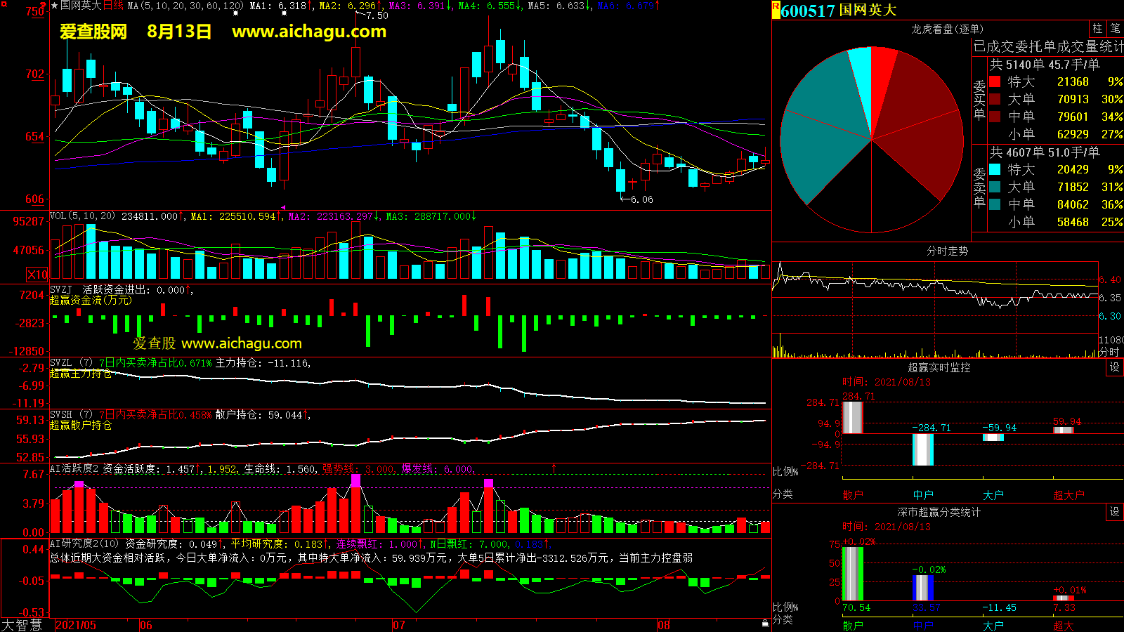 国网英大(600517)大智慧超赢数据