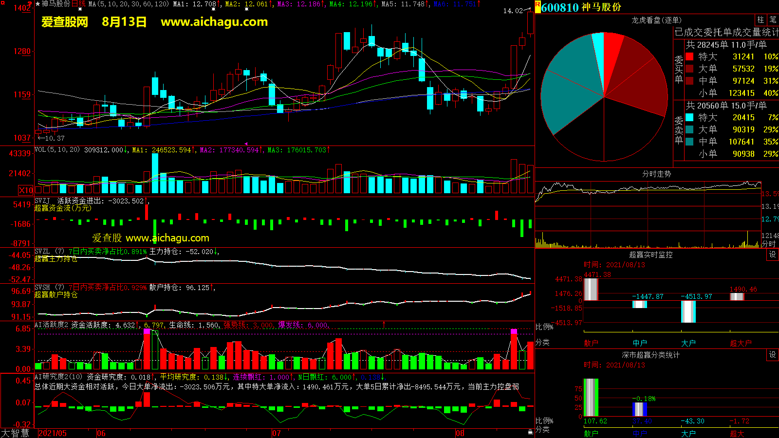 神马股份(600810)大智慧超赢数据