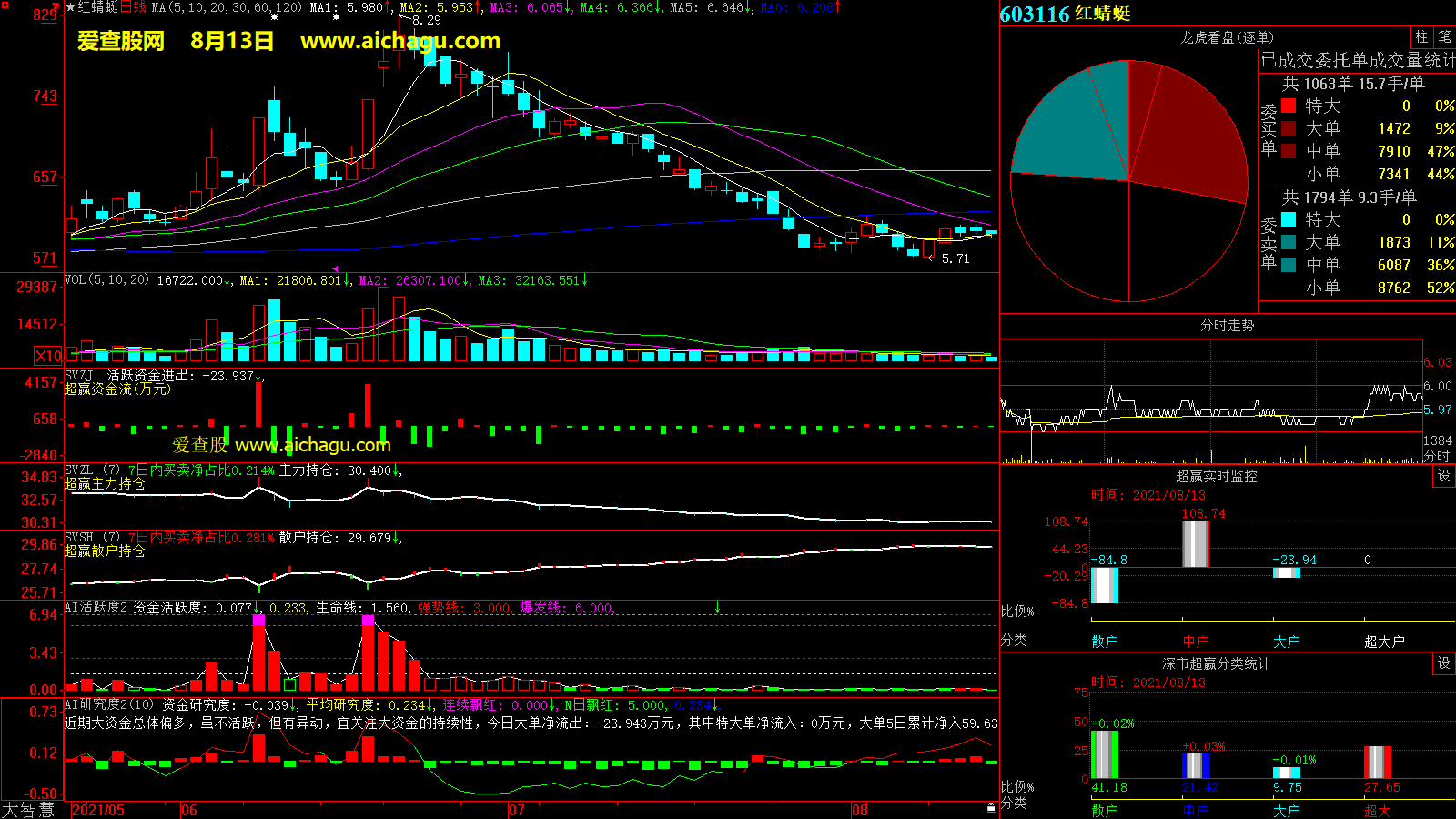 红蜻蜓(603116)大智慧超赢数据